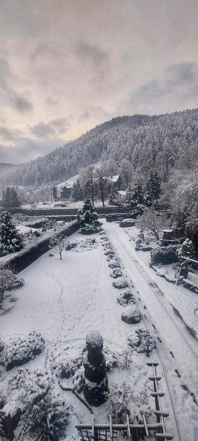 Moje Pieniny Apartament Szczawnica Exteriör bild